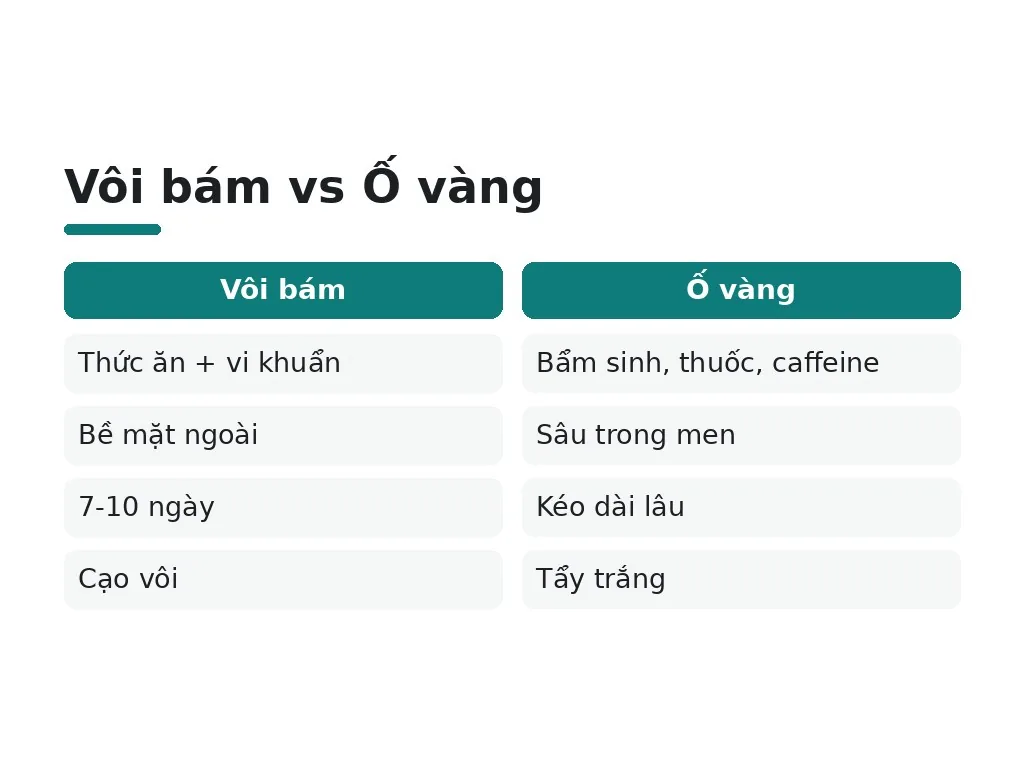 Vôi bám vs Ố vàng