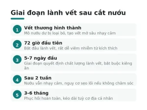 Giai đoạn lành vết sau cắt nướu