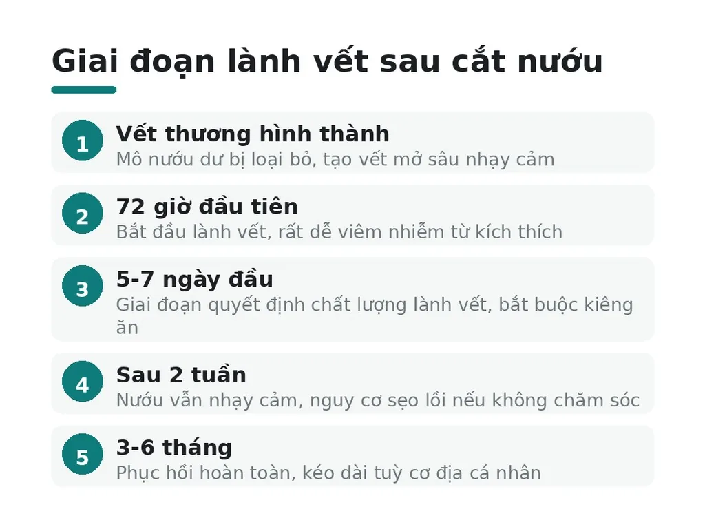 Giai đoạn lành vết sau cắt nướu