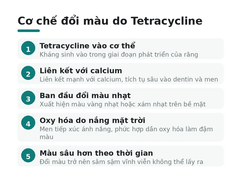 Cơ chế đổi màu do Tetracycline
