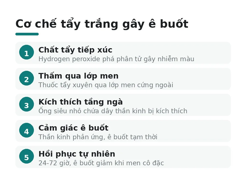 Cơ chế tẩy trắng gây ê buốt