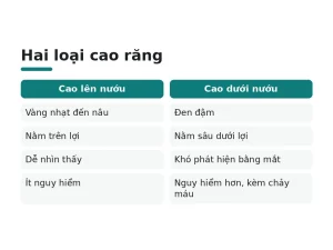 Hai loại cao răng
